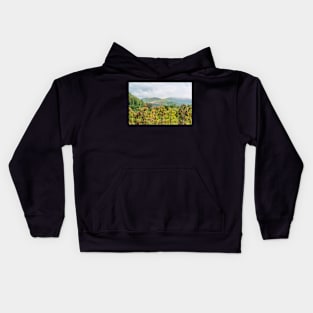 Apple harvest below Bad Berg, Kaiserstuhl, Germany Kids Hoodie